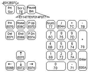 Коды специальных клавиш клавиатуры