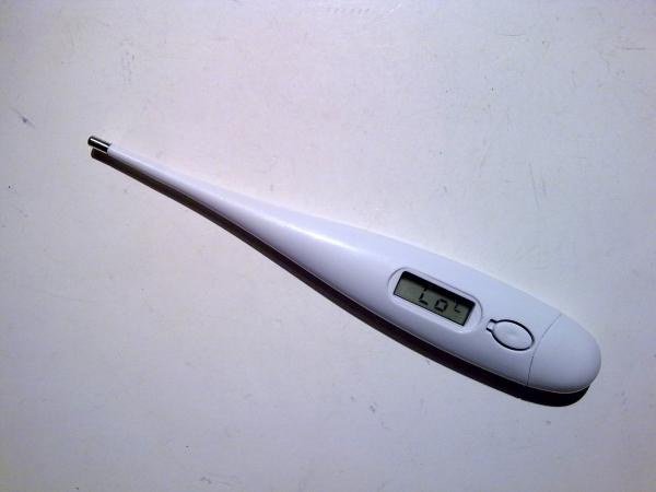 Обычный медицинский термометр
