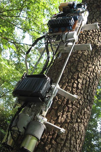 Робот лазающий по деревьям